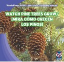 Watch Pine Trees Grow/Mira Como Crecen Los Pinos! - Therese Shea