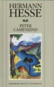 Peter Camenzind - Hermann Hesse