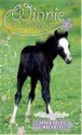 Friendly Foal - Dandi Daley Mackall