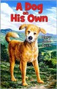 A Dog on His Own - Mary Jane Auch