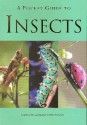 A Pocket Guide to Insects - Patrick Hook