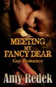 Meeting My Fancy Dear - Amy Redek