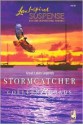 Stormcatcher - Colleen Rhoads