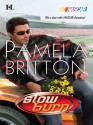 Slow Burn (NASCAR Library Collection) - Pamela Britton