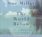 The World Below - Sue Miller