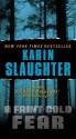 A Faint Cold Fear - Karin Slaughter