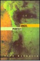 Perfect Angel - Seth J. Margolis