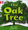 The Oak Tree - Anna Owen, Laszlo Veres