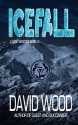 Icefall: A Dane Maddock Adventure - David Wood