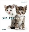 Shelter Cats - Michael Kloth