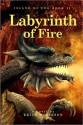 Labyrinth of Fire - Keith Robinson