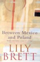 Between Mexico and Poland - Lily Brett