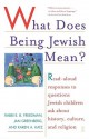 What Does Being Jewish Mean?: Read-Aloud Responses to Questions Jewish Children Ask About History, Culture, and Religion - E.b. Freedman, Jan Greenberg