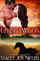 Chasin' Mason - Stacey Joy Netzel