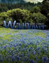 Wildflower - Marie Carroll