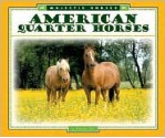 American Quarter Horses - Pamela Dell