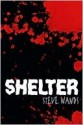 Shelter - Steve Wands