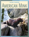 American Mink - Susan H. Gray