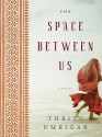 The Space Between Us - Thrity Umrigar