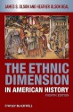 The Ethnic Dimension In American History - James S. Olson, Heather Olson Beal