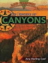 The Creation of Canyons - Amy Sterling Casil