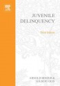 Juvenile Delinquency: : Historical, Cultural & Legal Perspectives - Arnold Binder, Gilbert Geis, Dickson D. Bruce