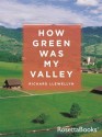 How Green Was My Valley (Books into Film) - Richard Llewellyn