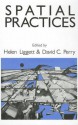 Spatial Practices: Critical Explorations in Social/Spatial Theory - David C. Perry, David Perry