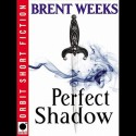 Perfect Shadow (Night Angel, #0.5) - Brent Weeks, James Langton