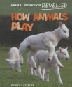 How Animals Play - Rebecca Stefoff