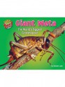 Giant Weta: The World's Biggest Grasshopper - Natalie Lunis