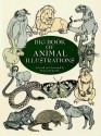 Big Book of Animal Illustrations - Maggie Kate