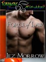 Force of Law - Jez Morrow