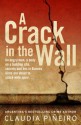 A Crack in the Wall - Claudia Piñeiro, Miranda France