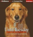 Until Tuesday: A Wounded Warrior and the Golden Retriever Who Saved Him - Luis Carlos Montalván, Bret Witter