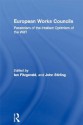 European Works Councils: Pessimism of the Intellect Optimism of the Will? (Routledge Research in Employment Relations) - Ian Fitzgerald, John Stirling