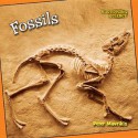 Fossils - Dean Miller