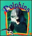 Dolphins - Tammy Everts