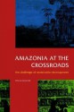 Amazonia at the Crossroads: The Challenge of Sustainable Development - Anthony Hall