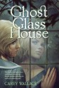 The Ghost in the Glass House - Carey Wallace