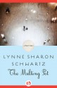 The Melting Pot: Stories - Lynne Sharon Schwartz