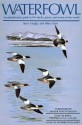 Waterfowl: An Identification Guide to the Ducks, Geese, and Swans of the World - Steve Madge, Hilary Burn