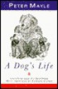 A Dog's Life - Peter Mayle, Edward Koren