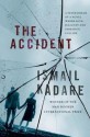 The Accident - Ismail Kadaré, David Bellos