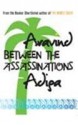 Between the Assassinations - Aravind Adiga