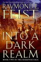 Into a Dark Realm - Raymond E. Feist