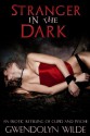 Stranger in the Dark: An Erotic Retelling of Cupid and Psyche - Gwendolyn Wilde