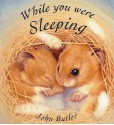 While You Were Sleeping (Orchard Picturebooks) - John Butler