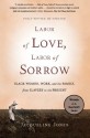 Labor of Love, Labor of Sorrow: Black Women , Work, and the Family, from Slavery to the Present - Jacqueline Jones