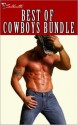 Best of Cowboys Bundle - Crystal Green, Vicki Lewis Thompson, Judy Christenberry, Shirley Rogers, Christine Wenger, Barbara White Daille